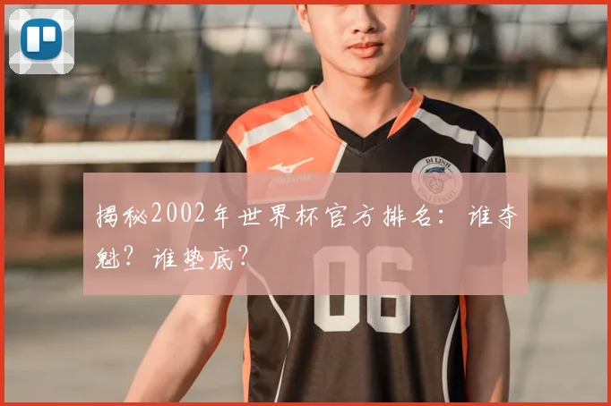 揭秘2002年世界杯官方排名：谁夺魁？谁垫底？