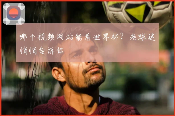 哪个视频网站能看世界杯？老球迷悄悄告诉你