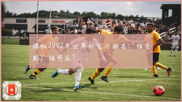 揭秘2002年世界杯官方排名:谁夺魁?谁垫底?