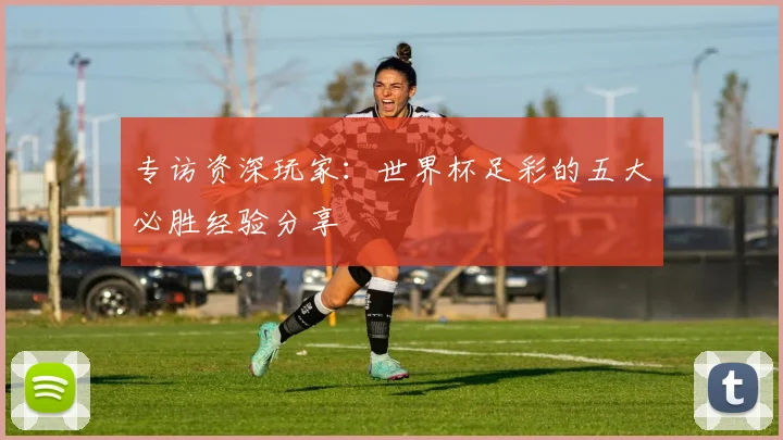 专访资深玩家:世界杯足彩的五大必胜经验分享