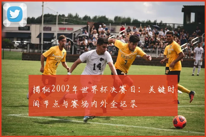 揭秘2002年世界杯决赛日:关键时间节点与赛场内外全记录