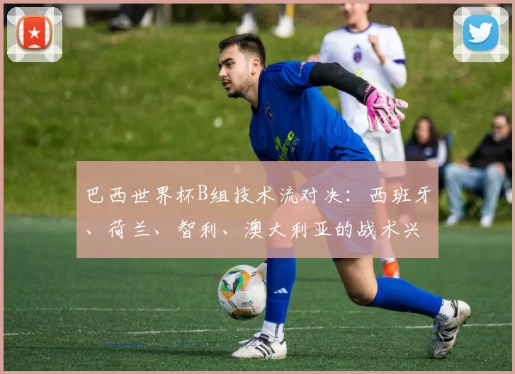 巴西世界杯B组技术流对决：西班牙、荷兰、智利、澳大利亚的战术兴衰史