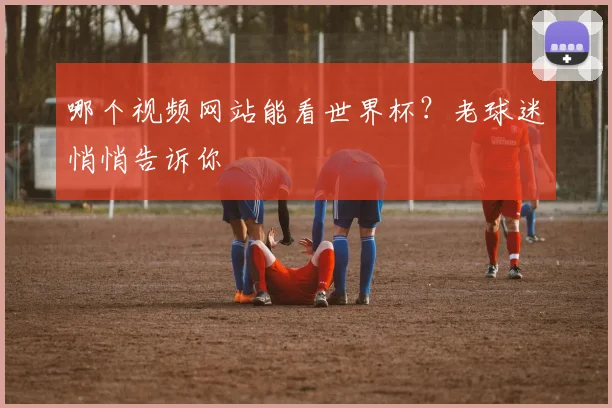 哪个视频网站能看世界杯?老球迷悄悄告诉你