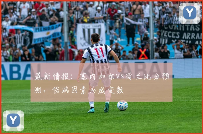 最新情报：塞内加尔vs荷兰比分预测，伤病因素或成变数